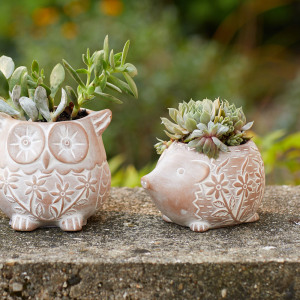 happy hedgehog terracotta planter alt