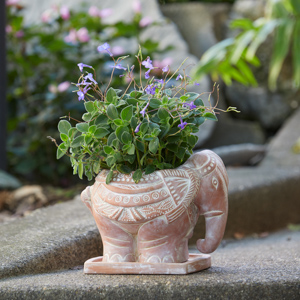 terracotta elephant planter