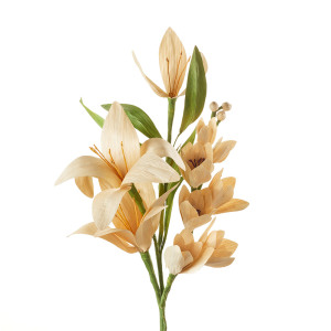 corn hust lily orchid bouquet