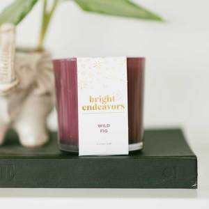 wild fig 2-wick candle alt
